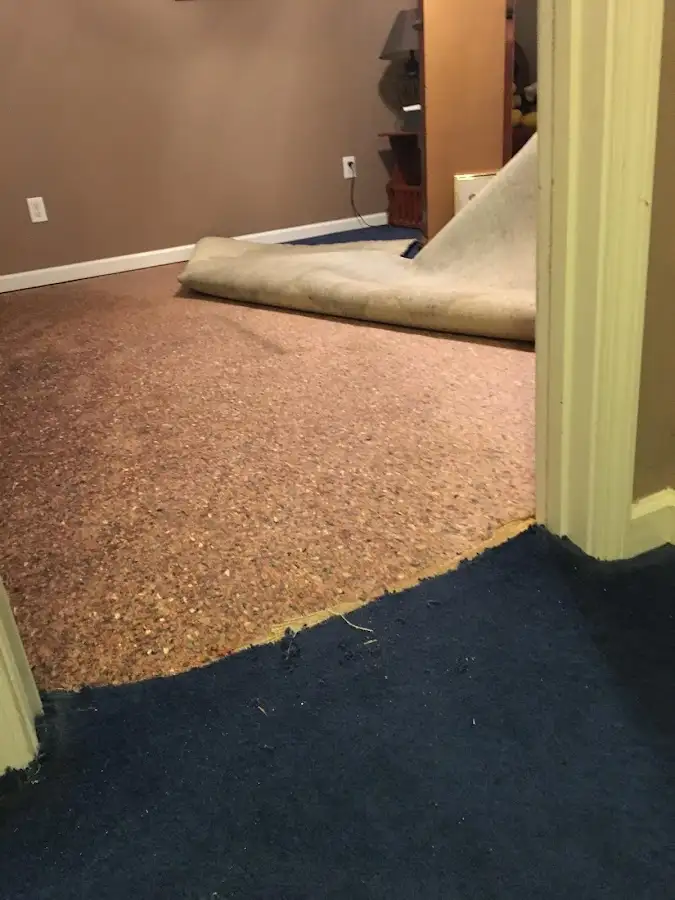 Carpet pad removal revealing water damage during Water Mitigation Services in Gulf Park Estates