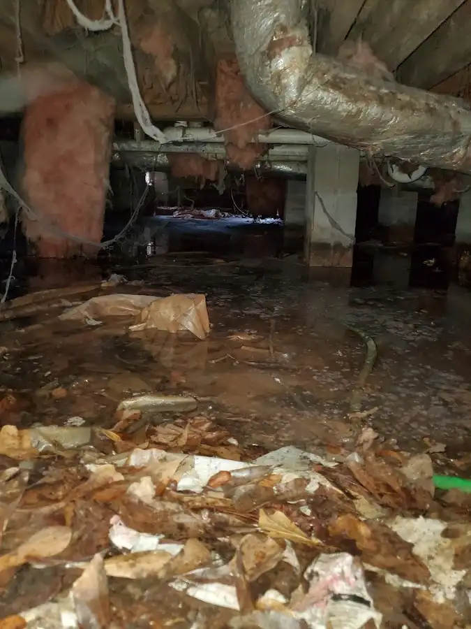 Crawl space flood assessment for Leak Detection & Repair in Gulf Park Estates