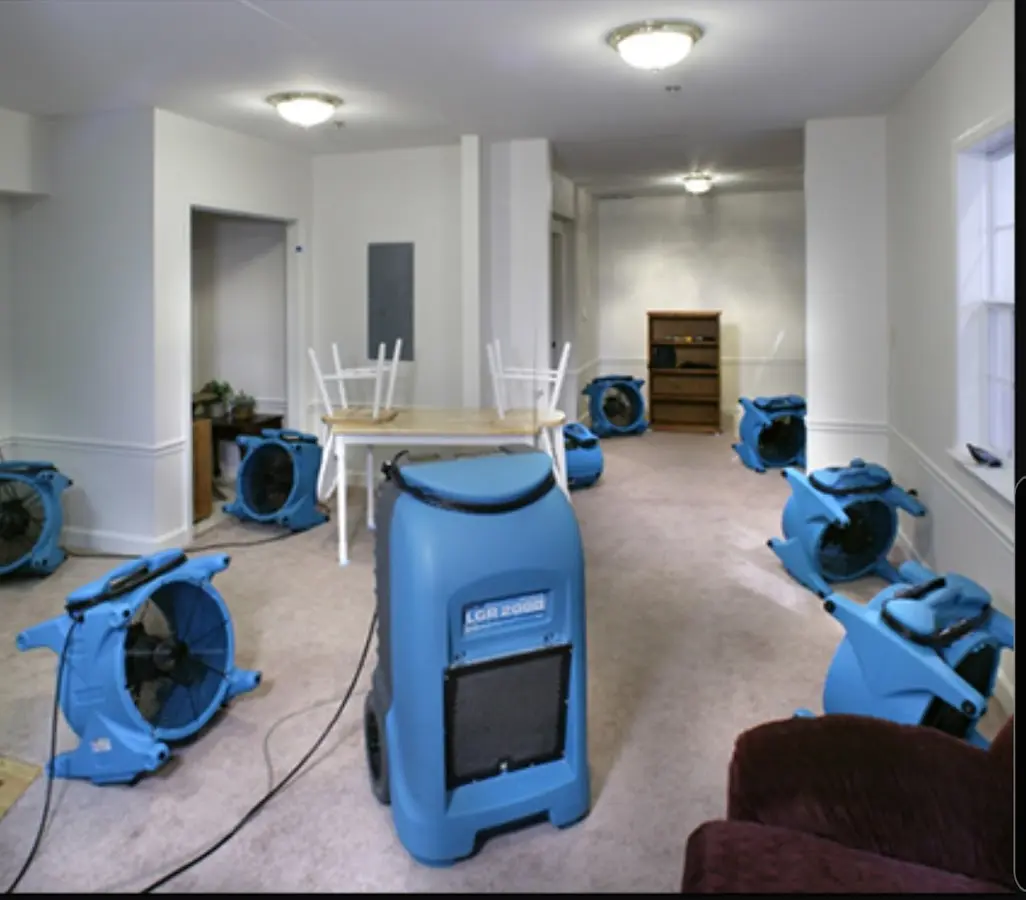 Air movers and dehumidifier setup for Water Extraction & Removal in Gulf Park Estates