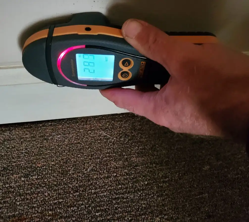 Moisture detection at baseboard during Storm Damage Restoration in Gulf Park Estates